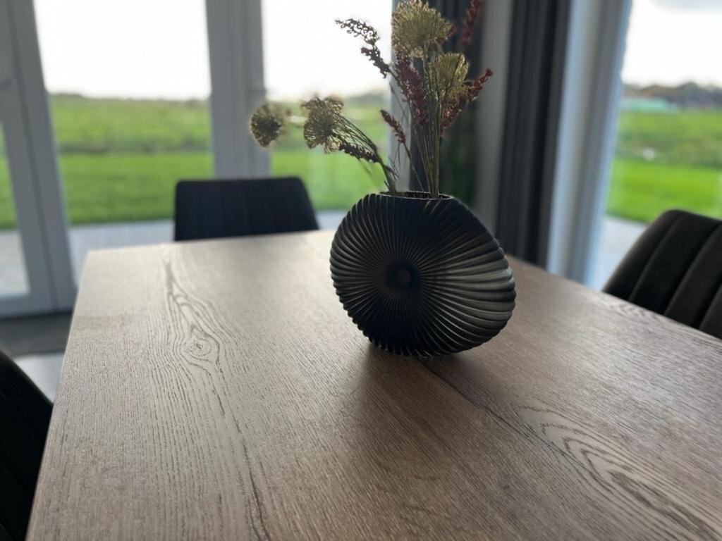 Kuh Blick Ferienhaus Sehestedt Sehestedt  Exterior foto